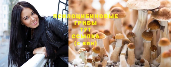 a pvp Арсеньев