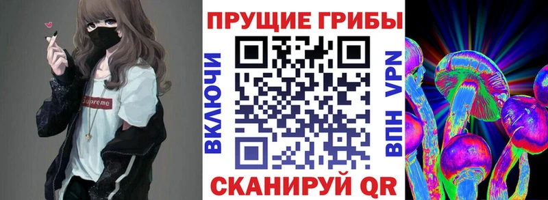 ОМГ ОМГ ONION  Балтийск  Псилоцибиновые грибы GOLDEN TEACHER 